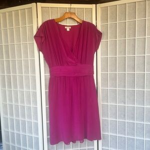 Garnet Hill silk purple dress size 10
